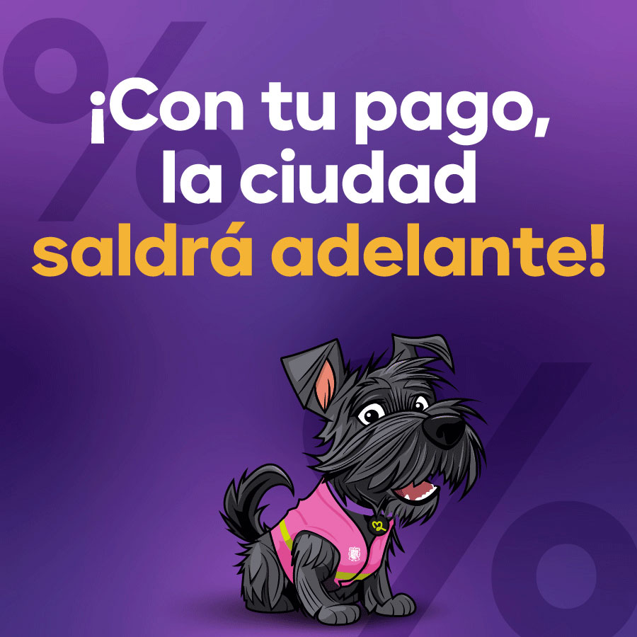AYUNTA TEMPORAL 6