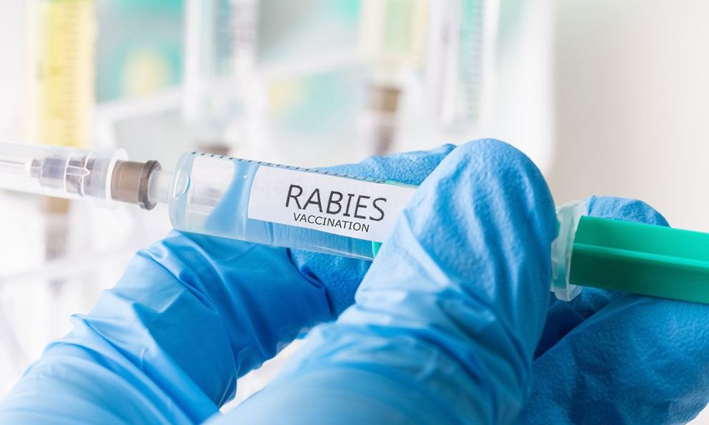 Anti Rabia ¿Cómo se aplica la vacuna contra la rabia?