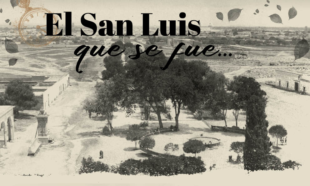 La Calzada, un camino que se volvió paseo