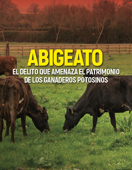 Imagen de fondo