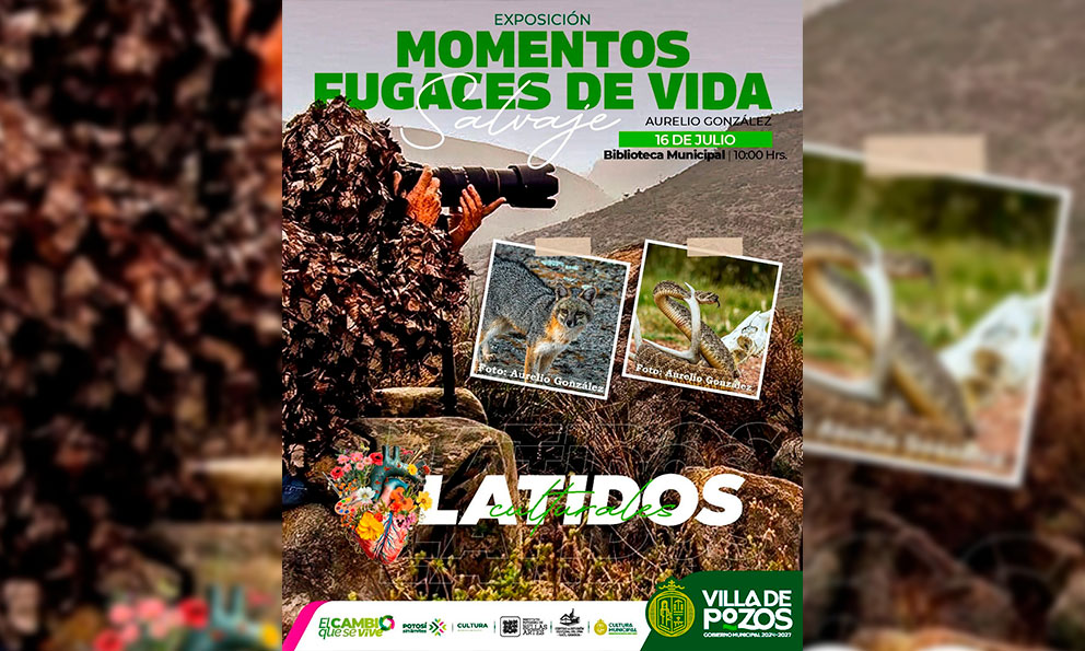Imagen de fondo