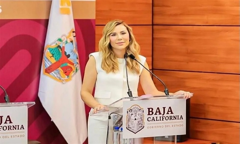 Pide Marina evitar 'novela' por visa