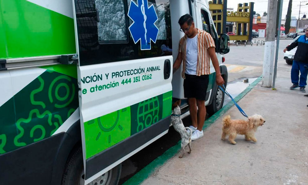 Imagen de fondo