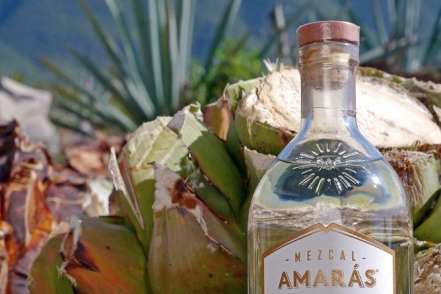 Es guerrerense el mejor mezcal espirituoso blanco del mundo