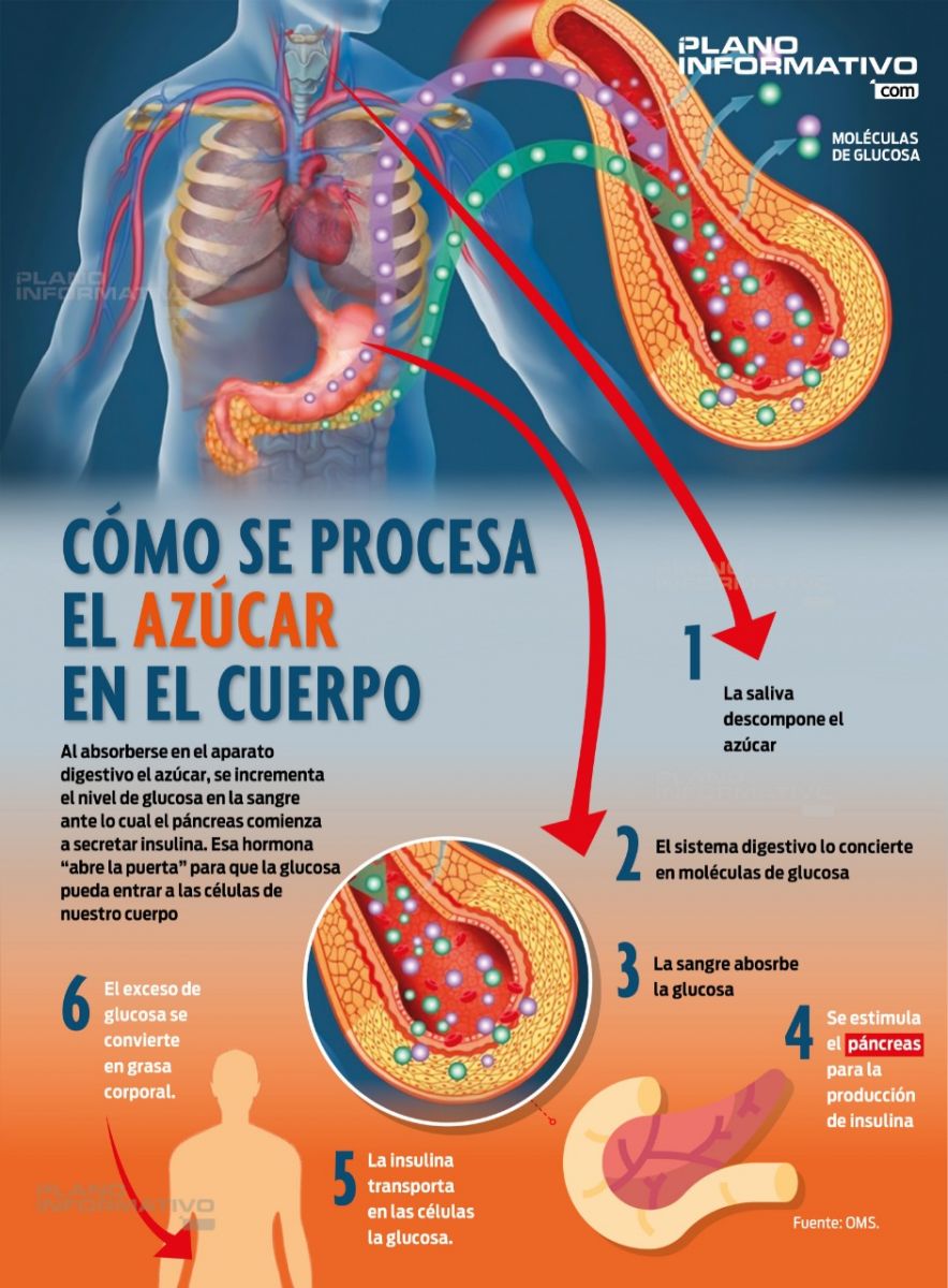 Gr fico Plano Informativo San Luis Potos Gr fico Plano Informativo San Luis Potos