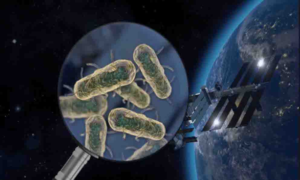 Bacterias Sobreviven En El Espacio Exterior Durante Años