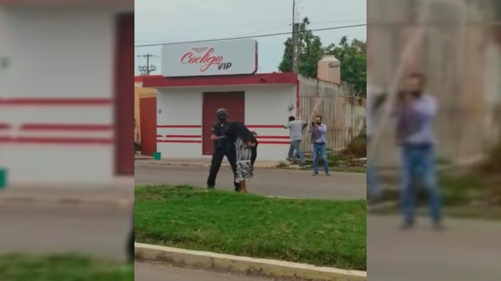 Abejas africanas atacan a habitantes de Chetumal; anciana sufrió shock anafiláctico - Vimarsana News