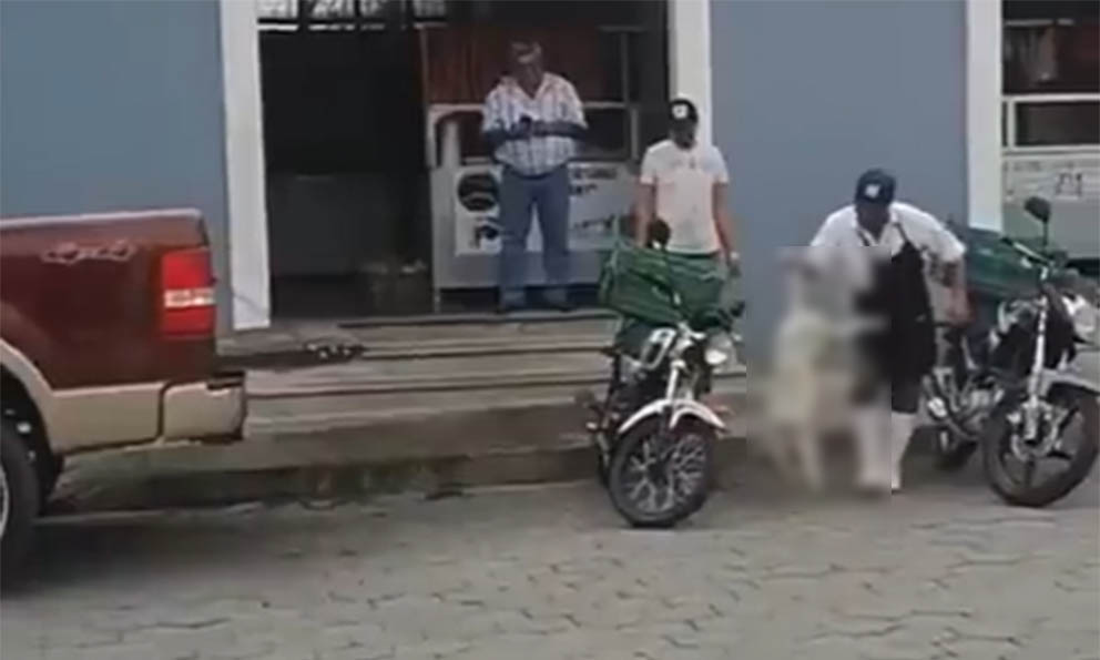 Carnicero en Puebla le dispara a perrita con pistola de balines