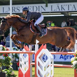Plano Deportivo Regresa el Circuito Nacional Ecuestre ‘Ruta del Vino’ a Aguascalientes
